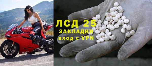молекула духа Пестово