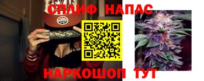 бошки Волгодонск