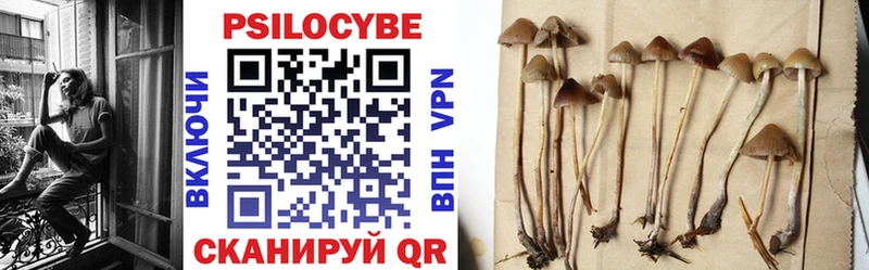 Псилоцибиновые грибы ЛСД  магазин  наркотиков  Бугуруслан 