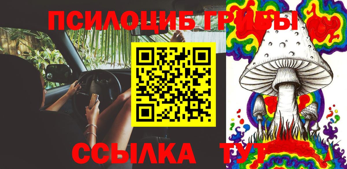 Псилоцибиновые грибы Psilocybe Бугуруслан