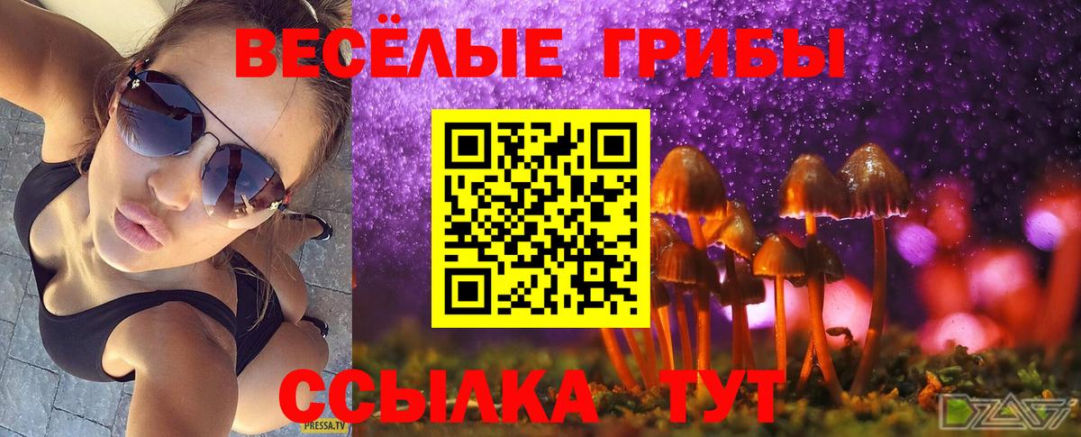 Псилоцибиновые грибы прущие грибы  Псилоцибиновые грибы Cubensis  Бугуруслан 