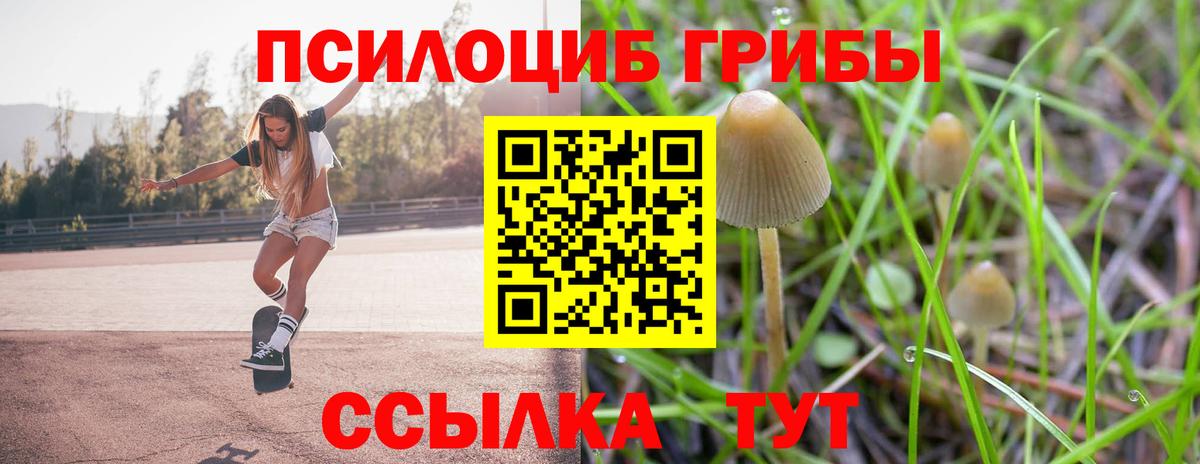 Псилоцибиновые грибы GOLDEN TEACHER Бугуруслан